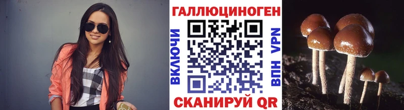 Псилоцибиновые грибы Psilocybe  Советск 